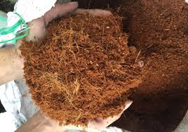 Bag Coconut Mulch